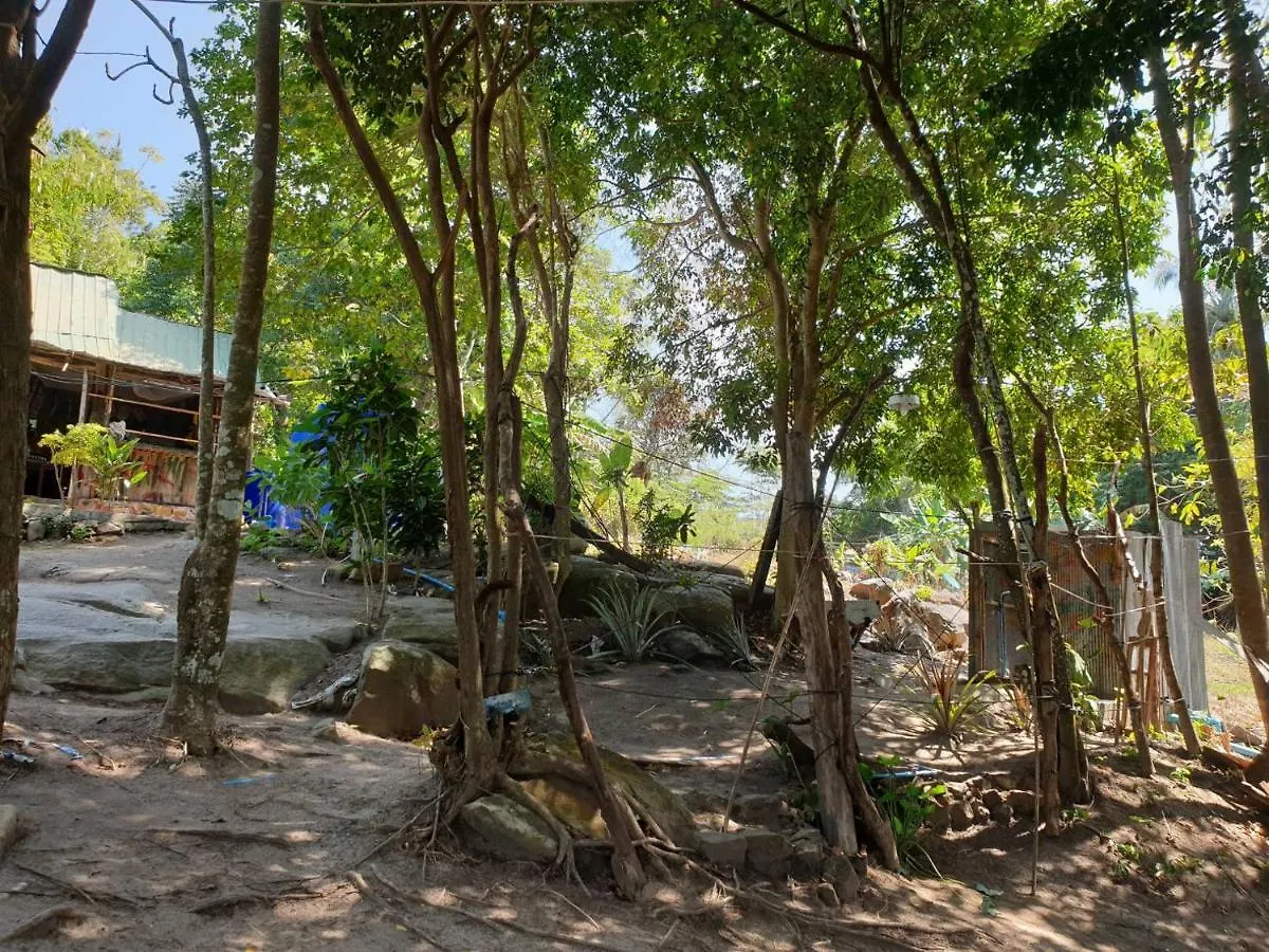 Guest house Bob Bar Near Phi Phi View Point Hotel Thailand